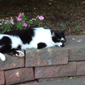 Meet your Posher, Beverly